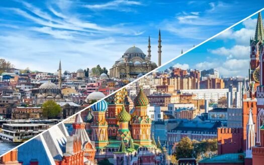 how does turkey cope with inflammation